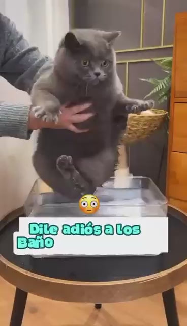 🐶🎁 El Mejor Regalo Para Tu Peludo: Cepillo a vapor 3 en 1 🐱💝